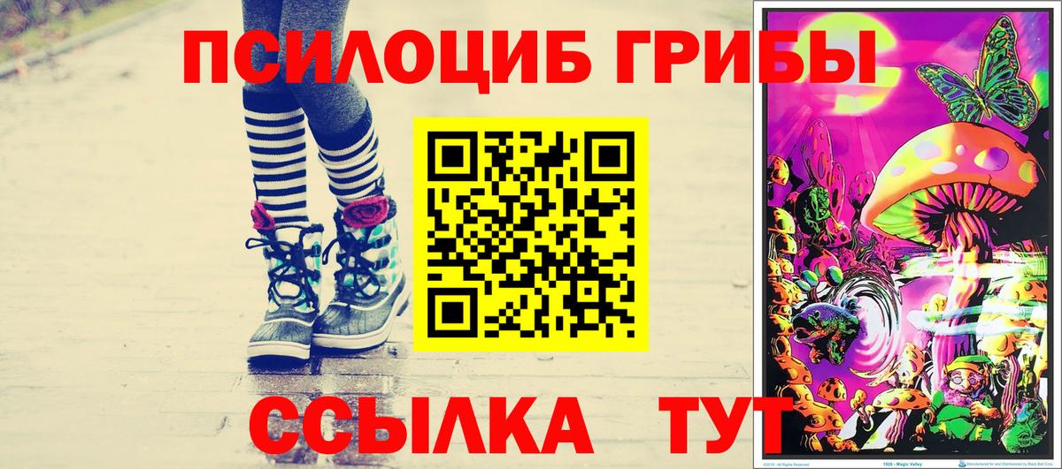 Галлюциногенные грибы Psilocybe Среднеуральск