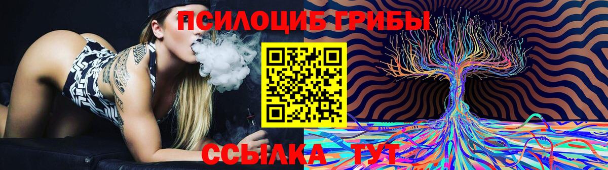 Псилоцибиновые грибы мухоморы  Вход с VPN  Среднеуральск 